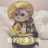 githubjunming